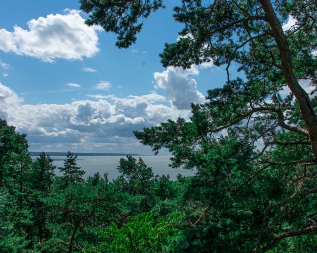 Attractions of the area